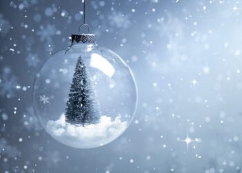 We wish you a very Merry Christmas