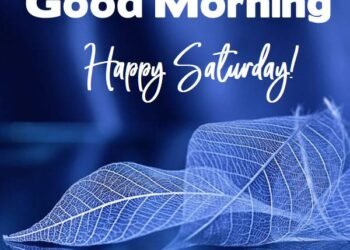 Good Morning..