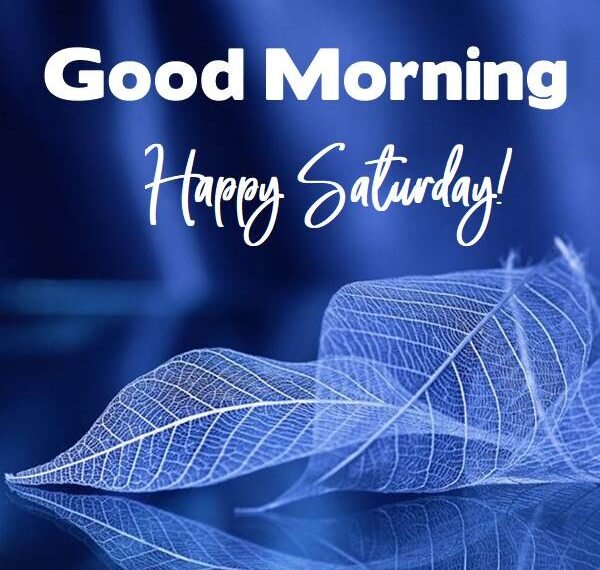Good Morning..