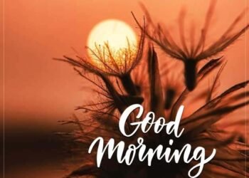 Good Morning