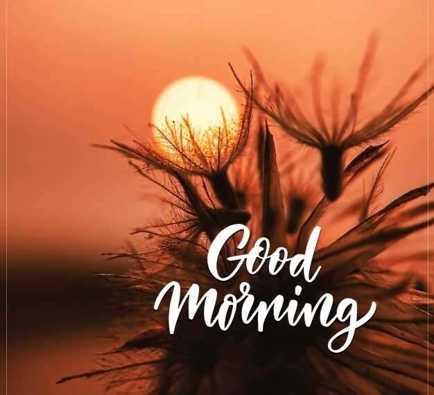 Good Morning