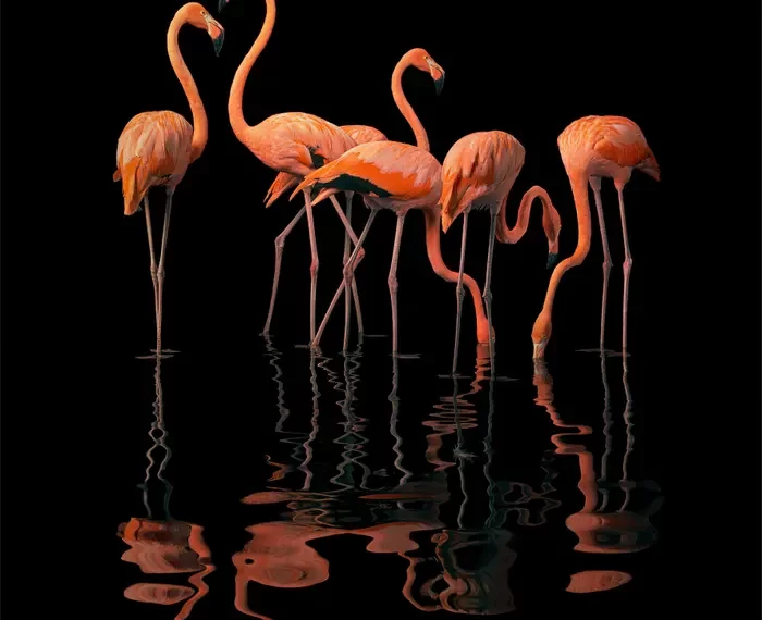 এখন সুন্দৰ ফটো