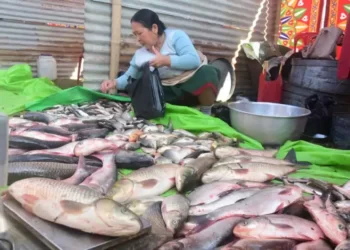 Emoinu Fish Festival, 2023, Manipur