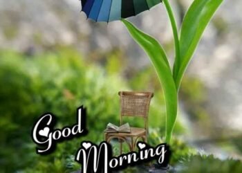 Good Morning..