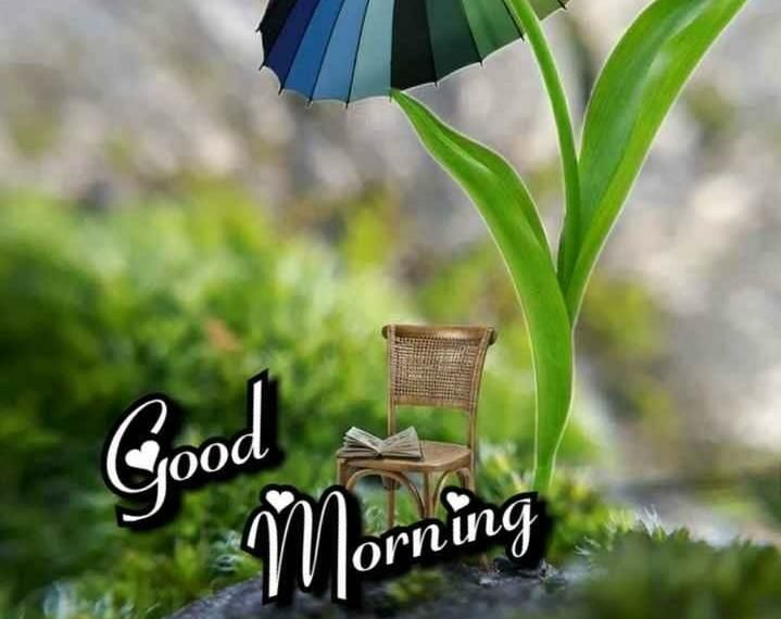 Good Morning..
