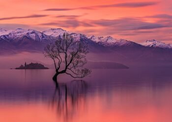 “It’s not just a sunset; it’s a Moonrise too”