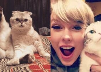 Richest Pet In The World
