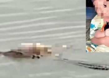ইণ্ডোনেছিয়াত সংঘটিত হোৱা এটি আচৰিত ঘটনা …..