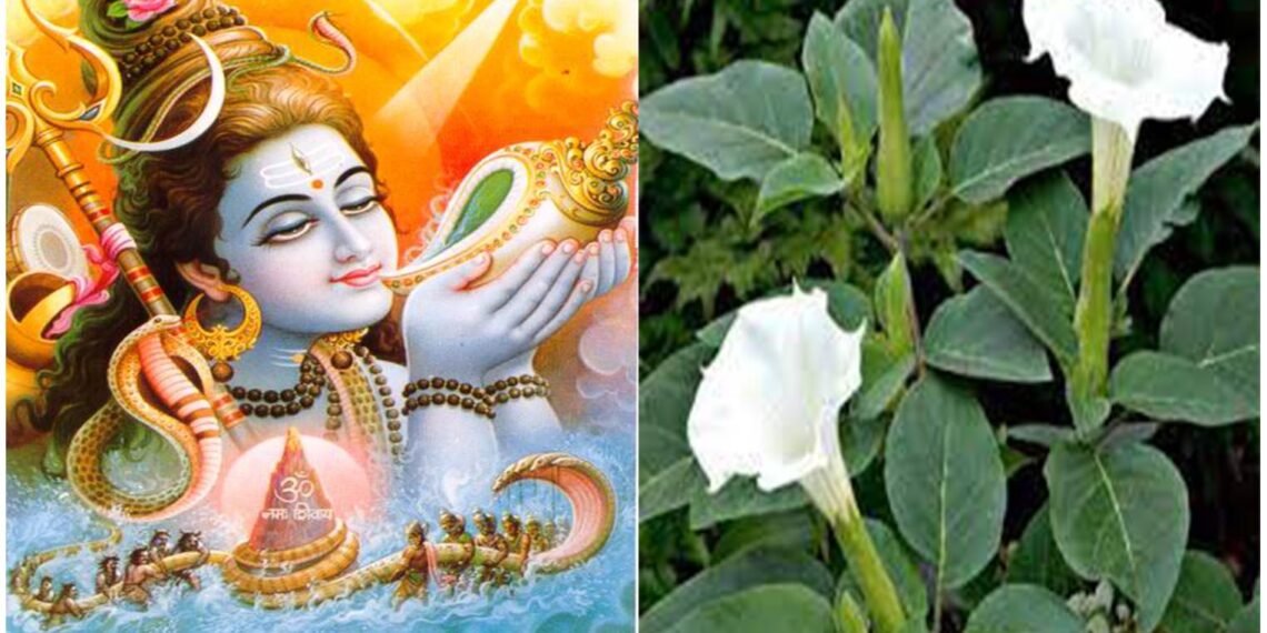 Maha Shivaratri
