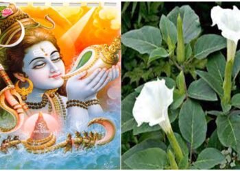 Maha Shivaratri