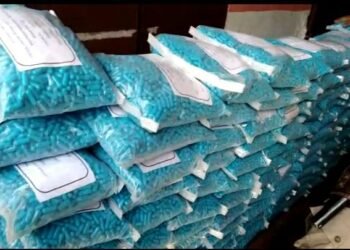 Drugs Drive: ৪৫ লক্ষাধিক টকা মূল্যৰ নিচাযুক্ত কেপচুল জব্দ নগাঁও আৰক্ষীৰ