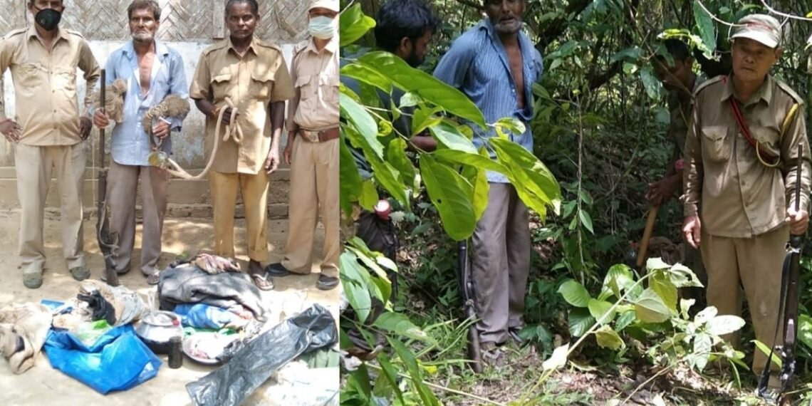 লামডিং ৰিজাৰ্ভ ফৰেষ্ট পৰা আটক এটা চোৰাংচিকাৰী; দুটাৰ পলায়ন