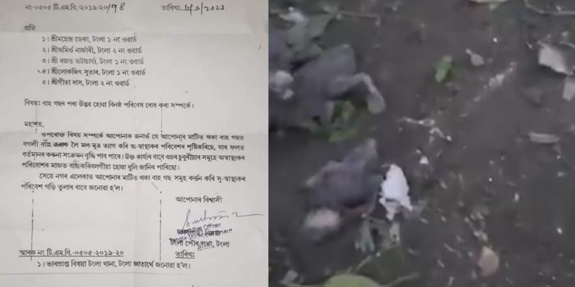 আজৱ কাণ্ড! ক’ৰোনা বিয়পোৱাৰ ভয়ত কাটি পেলালে বাঁহ গছ, ভাঙি পেলালে বগলীৰ বাহ