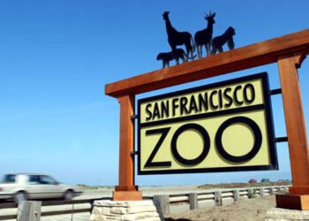 চিৰিয়াখানাৰ জন্তুক প্ৰদান ক’ৰোনা ভেকচিনৰ দুটা প্ৰতিষেধক