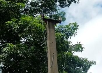 নালাগে ক’ত ধন? ট্ৰাঞ্চফৰ্মাৰ প্ৰদানৰ নামতো বিদ্যুৎ বিভাগৰ কৰ্মচাৰীক দিব লাগে ধন!