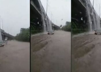 ‘Free Car Wash’ৰ সোণালী সুযোগ; ভাইৰেল হ’ল VIDEO