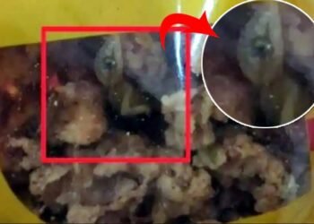 Viral: পকৰীৰ পেকেটত পাইছিল মৰা জেঠী; কিন্তু দোকানীৰ অভিযোগ ওলোটা, আচলতে ঘটনাটো কি?