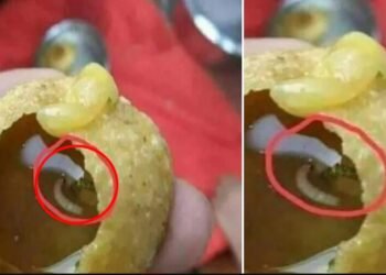 ফুচকা খাই ভাল পায় নেকি? যদি পায় অলপ সাৱধান হওক, ফটো চোৱাৰ পিছত আপুনিও ১০ বাৰ ভাবিব খাবলৈ