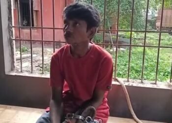 জঘন্য! স্কুলৰ পৰা উভতাৰ পথতে ৮ বছৰীয়া কণমানিক হাত-ভৰি বান্ধি ধৰ্ষণৰ চেষ্টা বৃদ্ধ লম্পটৰ; কামুৰি ছিঙিলে গাল