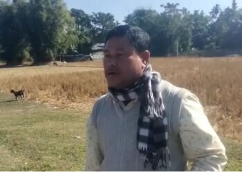 এইজন আনন্দ ছাৰ; স্কুল ঠিকেই খুলে, কিন্তু নপঢ়াই, কাৰণ ছাৰৰ কাম থাকে পথাৰত, কেৱল এয়াই নহয় ৫০০ টকা নিদিলে তেওঁৰ হাতেই নচলে