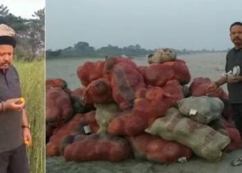 উৰুকাৰ বজাৰত উপলব্ধ সংগীত শিল্পী মানস ৰবীনৰ বাৰীৰ ৰঙালাউ; প্ৰায় ৩৫০ কুইণ্টল ৰঙালাও এৰি দিছে বজাৰলৈ