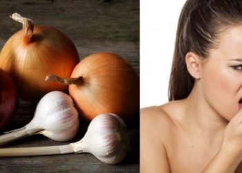 Health Tips: পিঁয়াজ-নহৰু খোৱাৰ পিছত মুখৰ পৰা আহে নেকি দুৰ্গন্ধ? নাইকিয়া কৰিবলৈ গ্ৰহণ কৰক এইকেইটা টিপছ্!