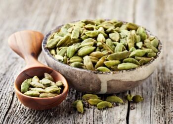 Health Tips: ইলাচীৰ (Cardamom) ১০টা সৰ্বশ্ৰেষ্ঠ লাভালাভ; আহক জানো কি কি?