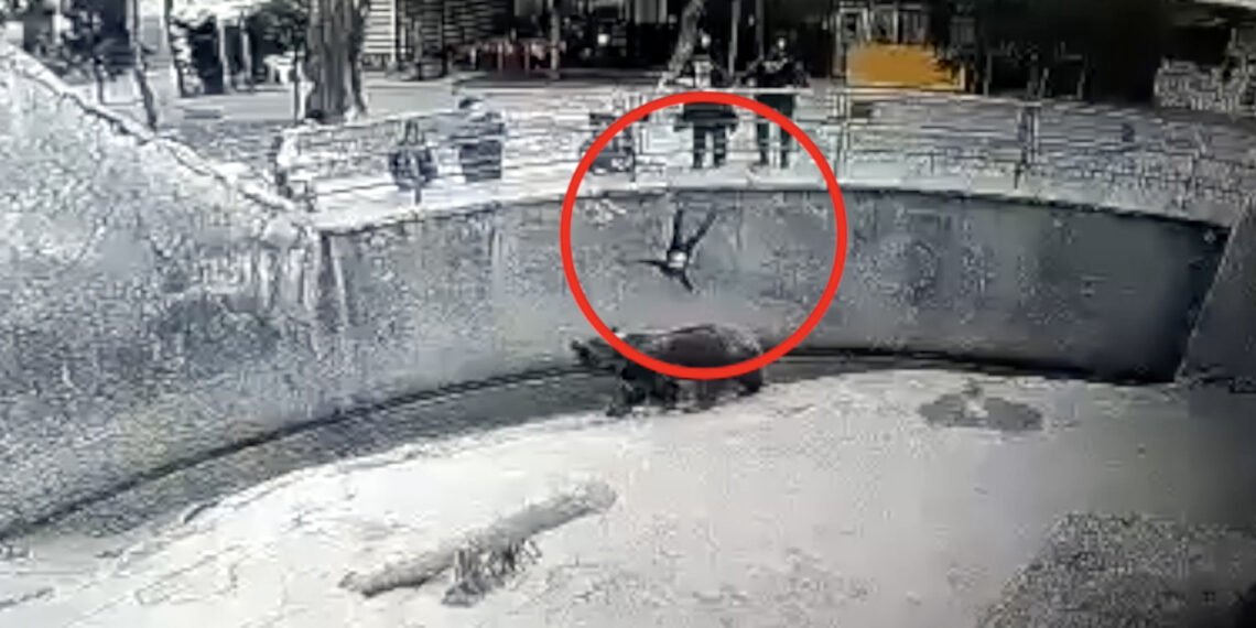 আচৰিত ঘটনা! নিজৰ সন্তানৰে জীৱনৰ শত্ৰু হৈ পৰে মাতৃ; ভালুকৰ গড়ালত ঠেলা মাৰি দিয়ে ৩ বছৰীয়া কন্যা সন্তানক, চাওক Viral Video