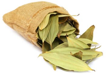 Health Tips: সদায় পুৱা নিশ্চয় খাওক তেজপাতৰ (Bay Leaf) চাহ; লাভালাভ জানিলে আপুনিও ক’ব ‘Wow’