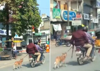 লজ্জাজনক! নিজে বাইকত বহি; কুকুৰটোক পাছে-পাছে খোজ কাঢ়িবলৈ কৰোৱালে বাধ্য, ভিডিঅ’টো চালে আপোনাৰো উঠিব খং, চাওক Viral Video