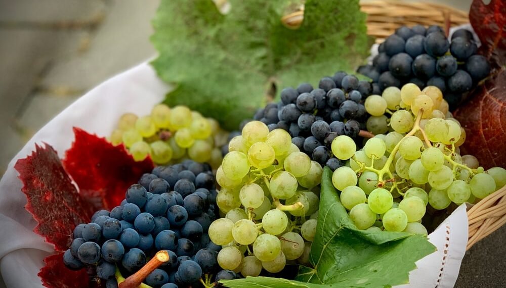 Health Tips: আপুনি আঙুৰ (Grapes) খাই খুব ভাল পায় নেকি? অত্যাধিক খালে হ’ব পাৰে এই লোকচান!