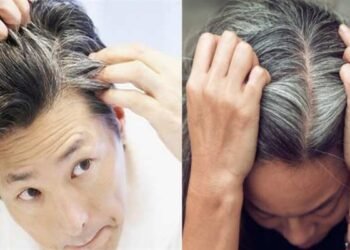 Lifestyle Tips: এইবিধ পাচলিৰ বাকলিৰে বগা চুলি (White Hair) হৈ পৰিব ক’লা; আহক জানো ব্যৱহাৰ কৰাৰ সহজ উপায়টো কি?