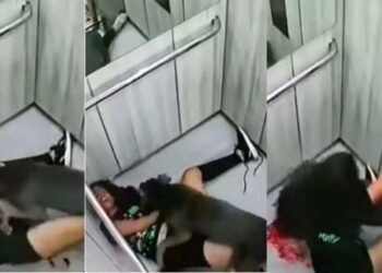 Beware Of Dog! এই ভয়ংকৰ ভিডিঅ’টো চালে আপুনিও হয়টো কুকুৰ পুহিবলৈ ১০ বাৰ ভাবিব; Watch Horrific Video