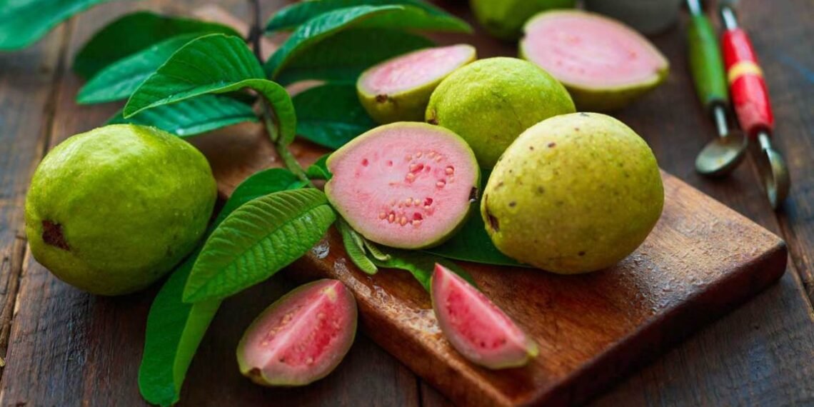 Health Tips: বৰ্ধিত ওজন হ্ৰাস কৰে মধুৰিআমে (Guava); আহক জানো খালী পেটত মধুৰিআম খোৱাৰ লাভালাভ
