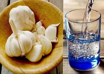 Health Tips: এবাৰ নহৰুৰ পানী (Garlic Water) নিশ্চয় খাই চাওক; খুব সোনকালে আপোনাৰ হ্ৰাস হ’ব ওজন