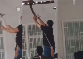 ঘৰৰ চাদৰ পৰা আহি আছিল অদ্ভুত শব্দ; কিহৰ শব্দ হয় চাওতে ওলাল ১৫ ফুট দীঘল এডাল প্ৰকাণ্ড অজগৰ (Giant Phython), চাওক Viral Video