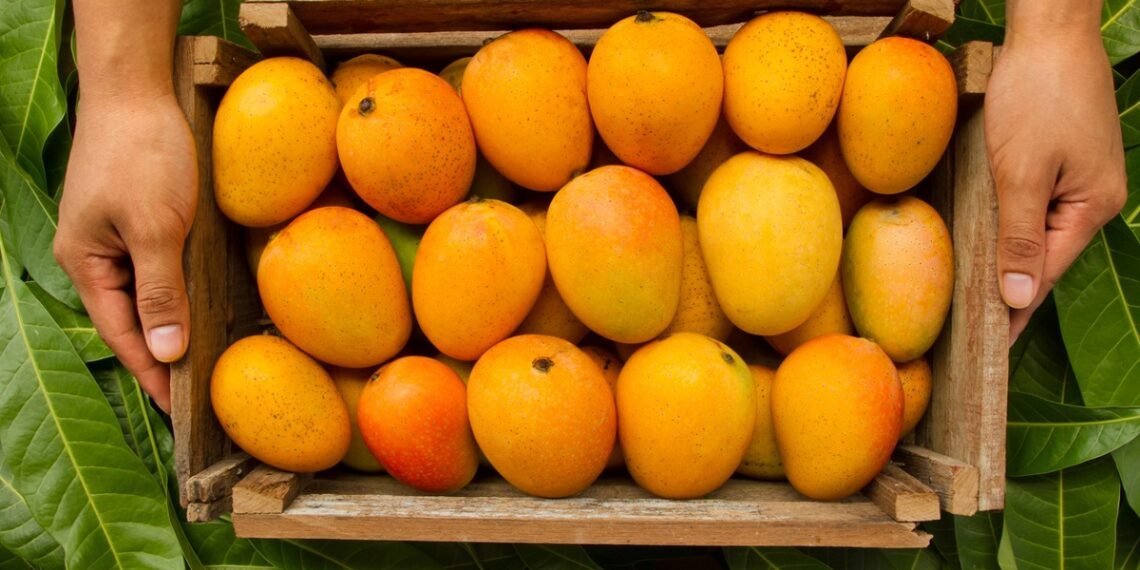 Health Tips: কি পকা আম, কি কেঁচা আম (Mango)…দুয়োটাই আপোনাৰ বাবে লাভজনক; কেৱল প্ৰতিদিনে খোৱা আৰম্ভ কৰক, পিছে জানি লওঁ আহক লাভালাভবোৰ কি কি?