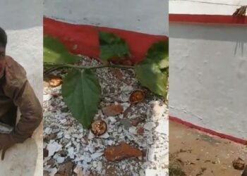 বেয়া কামৰ বেয়া ফল! সুৰা কিনিবলৈ নাছিল টকা; চুৰি কৰিবলৈ সোমাল মন্দিৰত, তাৰ পিছৰ পৰিণতি এয়া…ভগৱানে দিলে ‘On The Spot’ শাস্তি, চাওক Viral Video