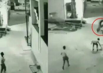 অত্যন্ত অদ্ভুত দৃশ্য! Viral Videoটো চালে আপুনিও হয়তো বুজিব ‘ভাগ্য’ কাক কয়; চাওক ভয়ংকৰ Video