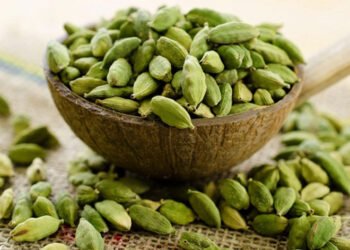 এটা ইলাচীৰে (Cardamom) আপুনিও হ’ব পাৰে এজন ধনাঢ্য ব্যক্তি (Rich Man)! কেৱল কৰিব লাগিব এই ৩টা কাম; পিছে কি কি আহক জানো