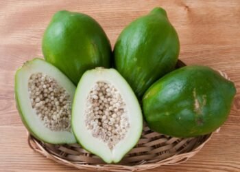 Health Tips: পকা নহয়, কেঁচা অমিতাও (Raw Papaya) আপোনাৰ স্বাস্থ্যৰ বাবে উপকাৰী; লাভালাভবোৰ জানিলে আজিৰে পৰা খোৱা আৰম্ভ কৰি দিব, আহক জানো কি কি?