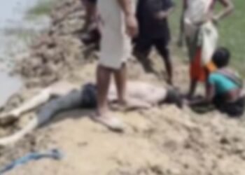 শোকাৱহ! একেদিনাই একেখন ঘৰৰে ৩ পুত্ৰৰ কৰুণ মৃত্যু; পুখুৰীত (Pond) পৰি যোৱা সৰু ভায়েকক বচাবলৈ গৈ আন দুজন জ্যেষ্ঠ ভাতৃৰো সলিল সমাধি