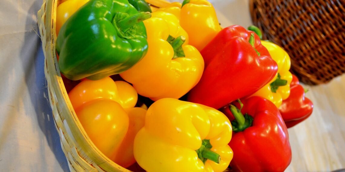Health Tips: কেপছিকাম (Capsicum) খাই ভাল পাই নে? যদি পাই তেন্তে আপোনাৰে হ’ব লাভ; নাপালে আপোনাৰে হ’ব লোকচান, পিছে জানি লওক লাভালাভবোৰ কি কি?