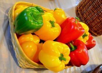 Health Tips: কেপছিকাম (Capsicum) খাই ভাল পাই নে? যদি পাই তেন্তে আপোনাৰে হ’ব লাভ; নাপালে আপোনাৰে হ’ব লোকচান, পিছে জানি লওক লাভালাভবোৰ কি কি?