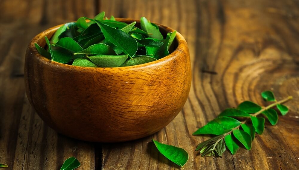 Health Tips: পুৱা শুই উঠি নৰসিংহ পাত (Curry Leaves) চোবোৱা আৰম্ভ কৰক; পাব বহু আশ্চৰ্যকৰ লাভালাভ, পিছে জানো আহক কি কি?