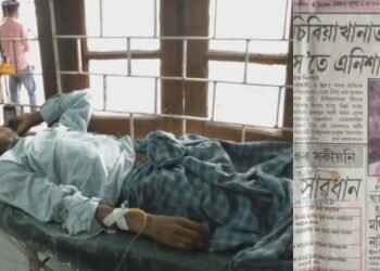 আজৱ ঘটনা! সুৰাৰ নিচাত নিজৰ ‘গুপ্তাংগ’ কাটি পেলালে এজন লোকে; এতিয়া হাস্পতালৰ বিচনাত মৃত্যুৰে দিছে যুঁজ, পূৰ্বেও এই লোকজনে সিংহৰ সৈতে এনিশা কটাই বাতৰিৰ শিৰোনাম কৰিছিল দখল