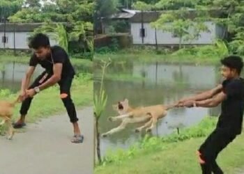 যেনে কৰ্ম, তেনে ফল! ৰাস্তাৰ কুকুৰক নেগুৰত ধৰি ঘূৰাই, দলিয়াই নিৰ্যাতন চলোৱা যুৱকক গ্ৰেপ্তাৰ আৰক্ষীৰ; ছচিয়েল মিডিয়াত ভাইৰেল হৈছিল এটা ভিডিঅ’