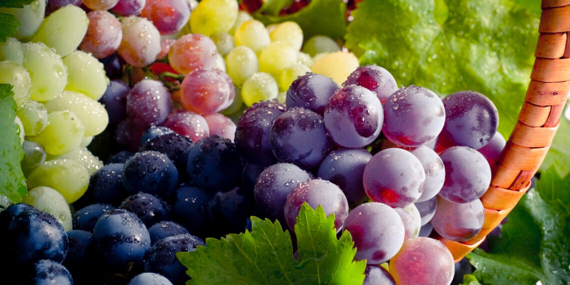 Health Tips: আঙুৰ (Grapes) খায় ভাল পায়নে? যদি পায় আপোনাৰে হৈ আছে লাভ; পিছে জানেনে ইয়াৰ লাভালাভবোৰ কি কি?