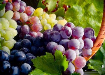 Health Tips: আঙুৰ (Grapes) খায় ভাল পায়নে? যদি পায় আপোনাৰে হৈ আছে লাভ; পিছে জানেনে ইয়াৰ লাভালাভবোৰ কি কি?