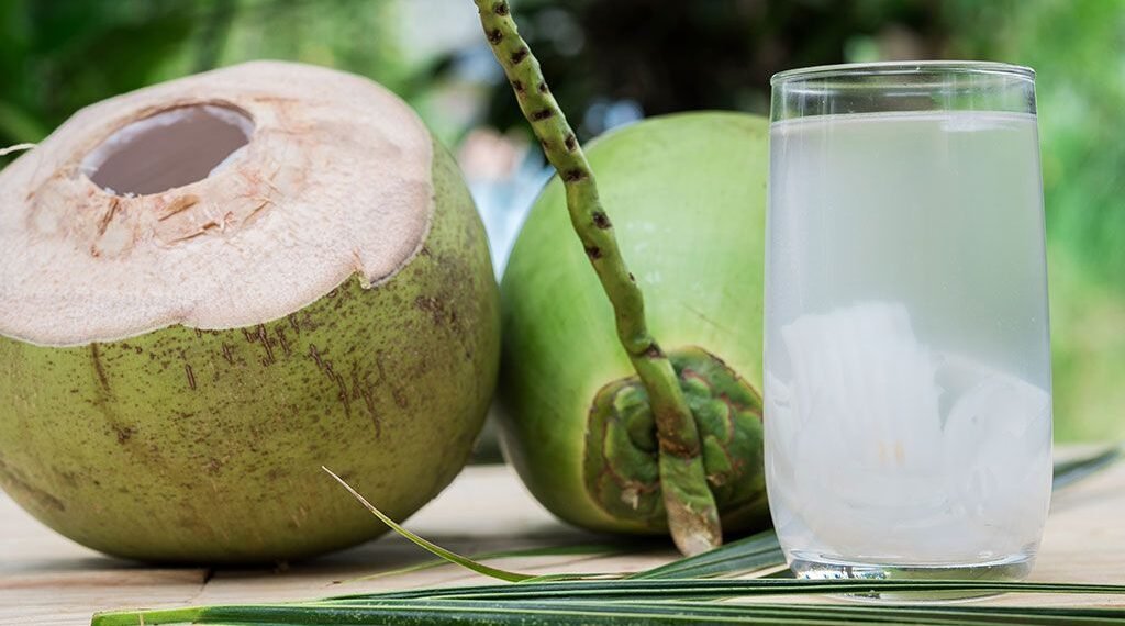 Health Tips: গৰমৰ দিনত প্ৰতিদিনে খোৱা আৰম্ভ কৰি দিয়ক নাৰিকল পানী (Coconut Water); কাৰণ ইয়াৰ আছে বহু আশ্চৰ্যজনক লাভালাভ যি হয়তো আপুনি আজিলৈ জনা নাছিল, আহক জানো কি কি?